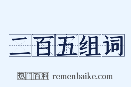 二百五组词是什么意思的图片